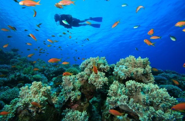 Island Hopping In The Caribbean Made Easy