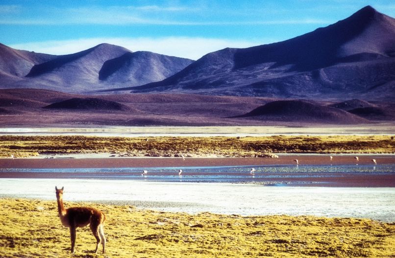 05Los-Flamencos-National-Reserve_Chile