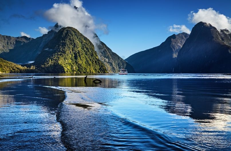 06NZ